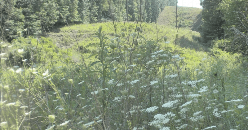 Linwood Nature Preserve