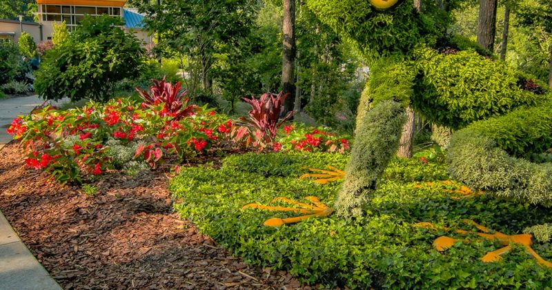 Atlanta Botanical Garden, Gainesville