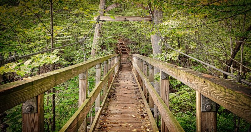 Bridge at the Elachee Nature Science Center