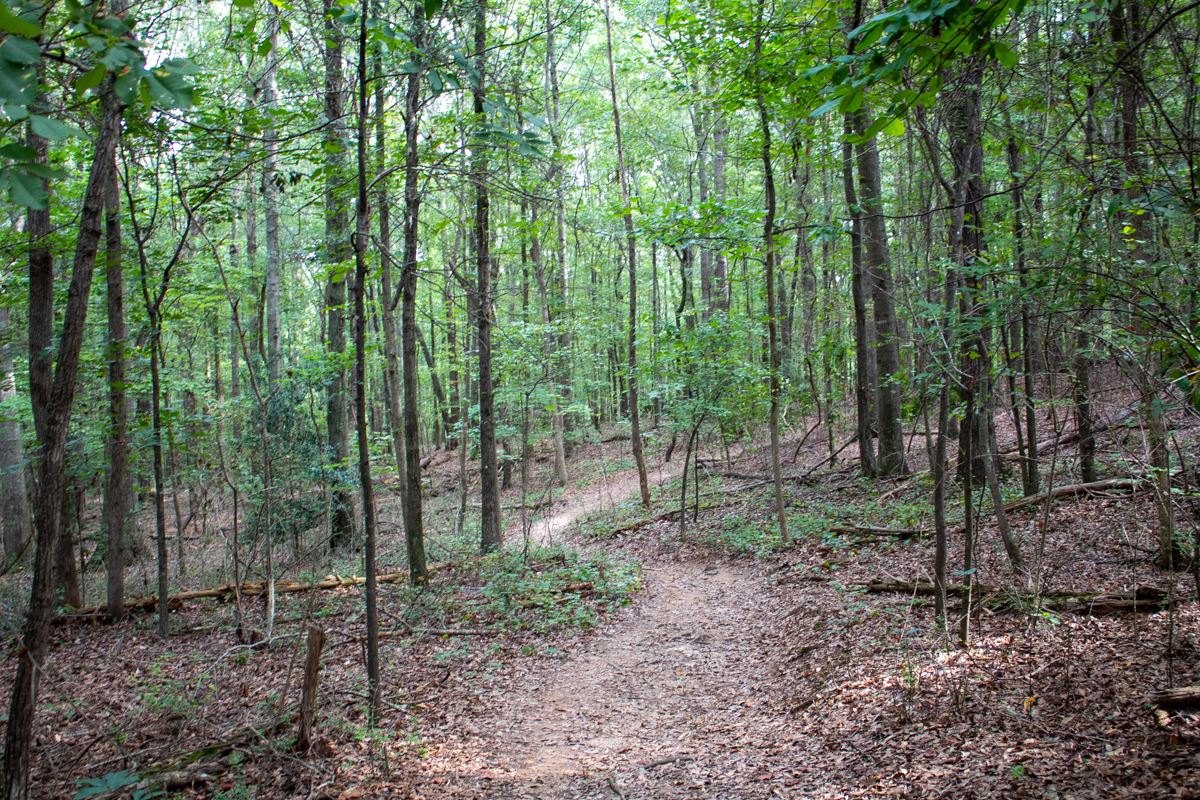 tumbling-creek-trails
