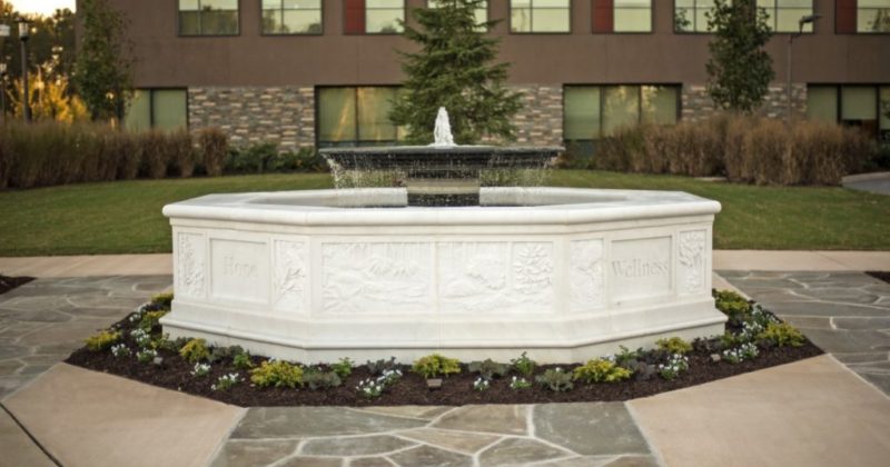 Gardens at N. E. Georgia Medical Center Fountain