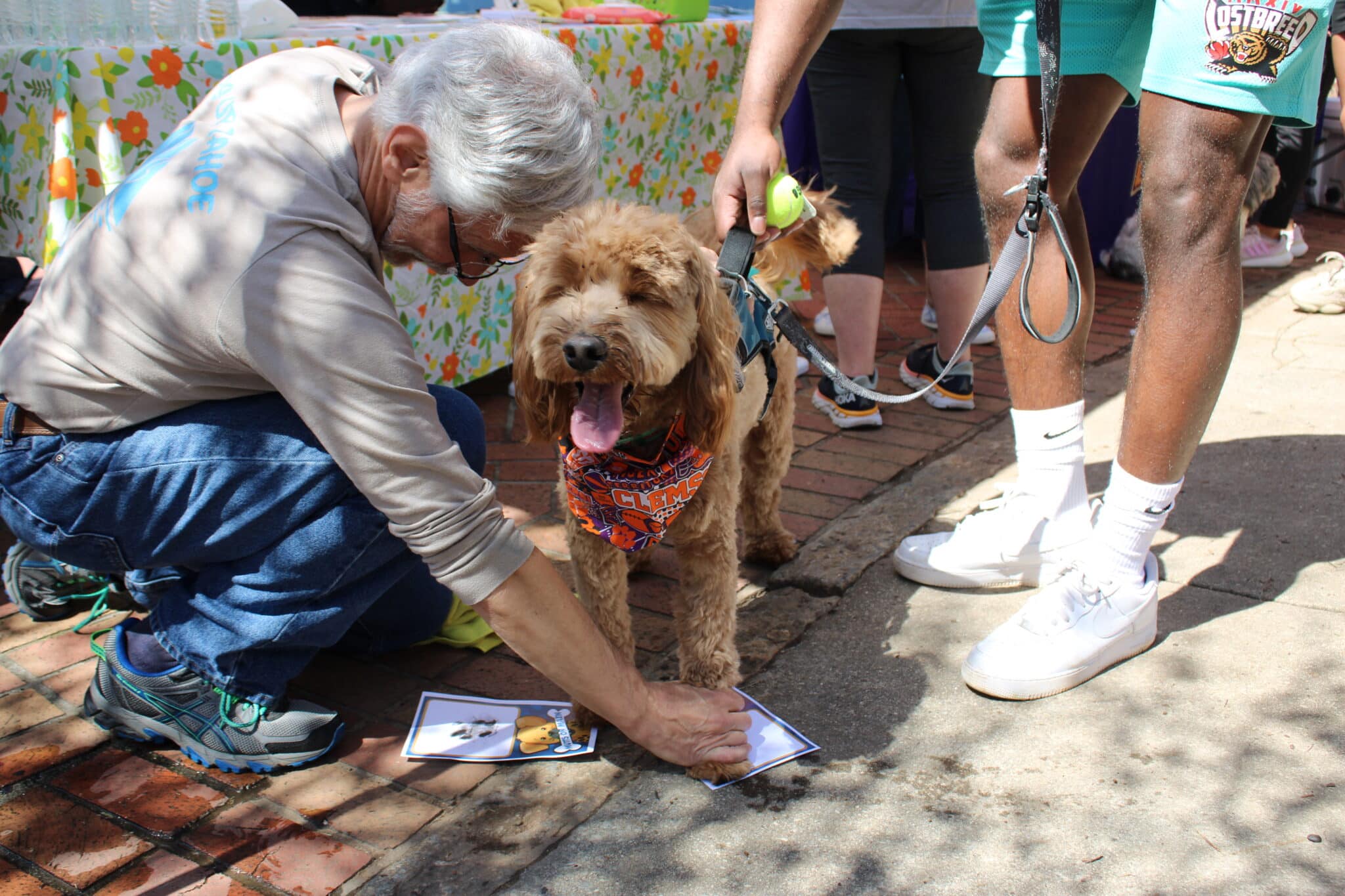 Mutts on Main Explore Gainesville