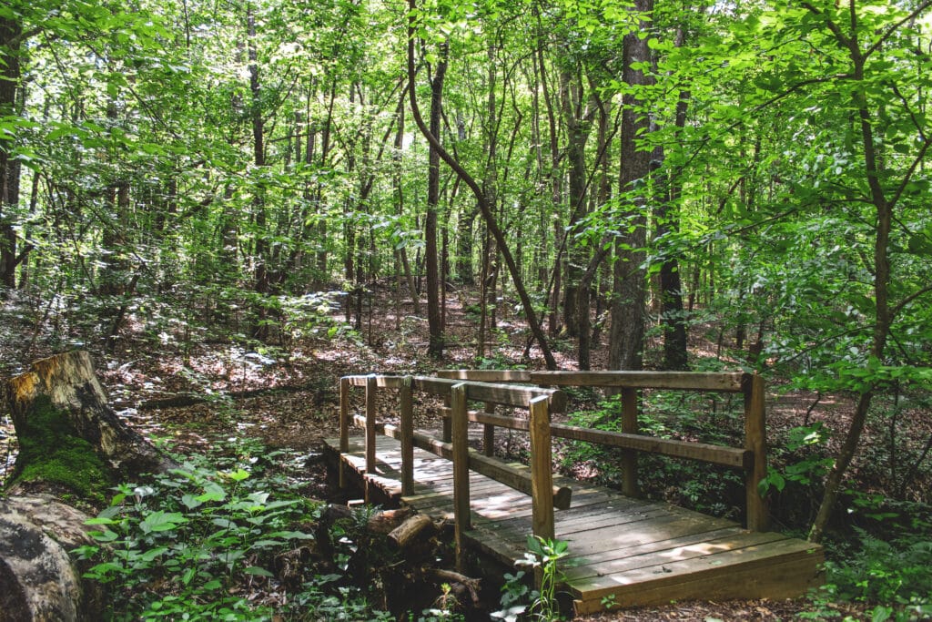 Hiking Trails - Elachee Nature Science Center